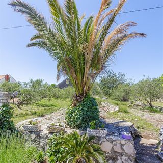 House Mladen Grohote (5)