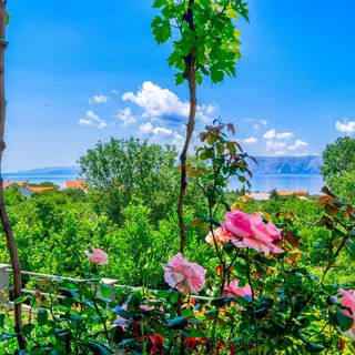 Apartments Katica Povile (4)