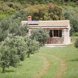 House Coral Pasman (4)