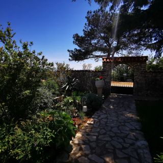 Apartments Zuppy Crikvenica (4)