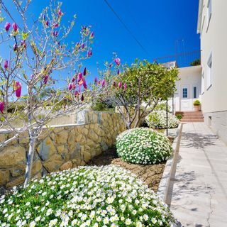 Apartment BRANKA Rab (3)