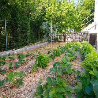 Villa Gardens Crikvenica (4)