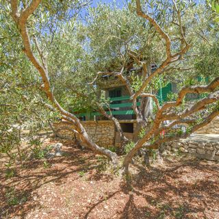 House OLIVA Tkon (5)