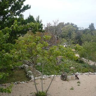 House Dragica Cres (5)