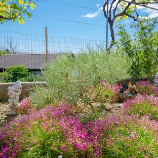 Apartment BigTerrace Lopar (4)