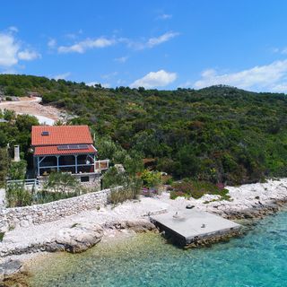 House Starfish Tkon (3)