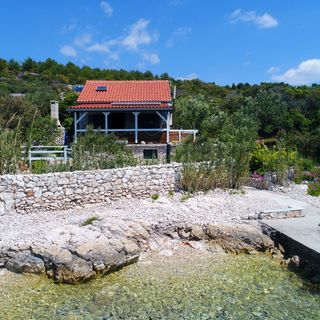 House Starfish Tkon (4)