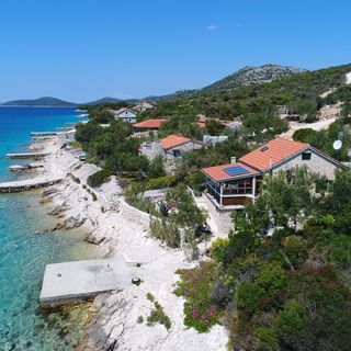 House Starfish Tkon (2)