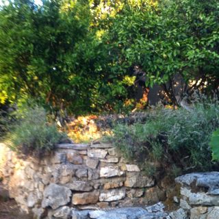 Apartment Lada Supetar II (5)