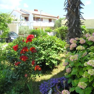 Apartment ZORA Krk (5)