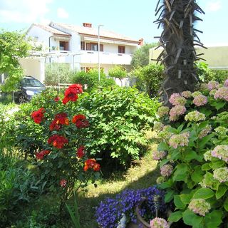 Apartment Zora Krk (5)