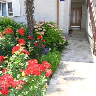 Apartment Zora Krk (3)