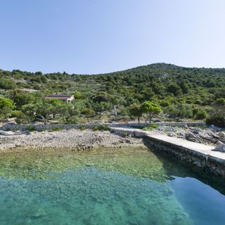 House Mate Pasman (2)