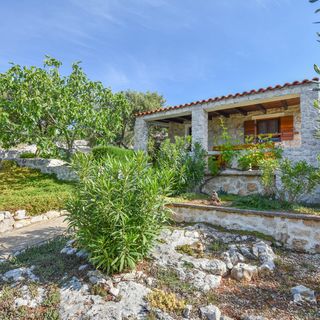 House Mate Pasman (4)