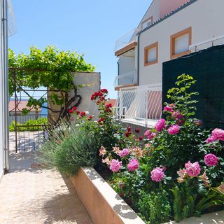 Apartment Marija Podstrana (5)