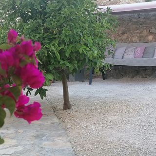 Apartment Ruža Postira (5)