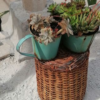 Apartment Ruža Postira (4)