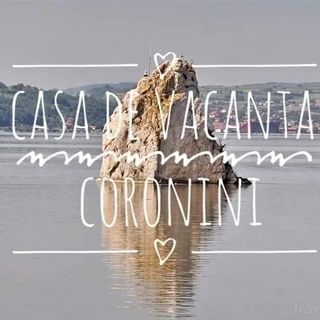 Casa de vacanță Danube Coronini (2)