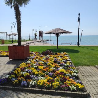 Rozmaring Apartman Csopak (3)