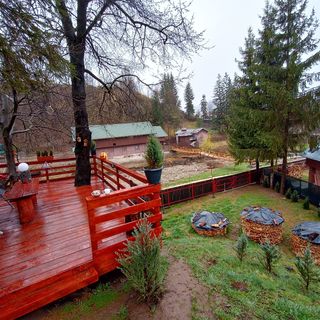 Căsuța dintre brazi Valea Doftanei (5)