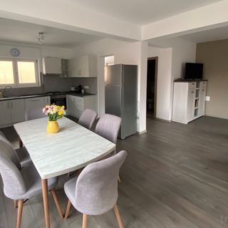 Fenyő Apartment House Odorheiu Secuiesc (2)