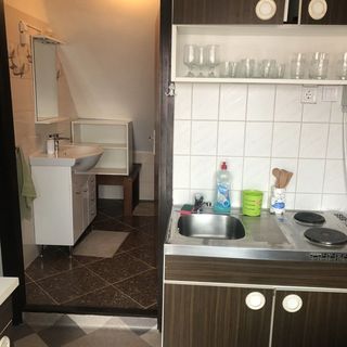 Virág Apartman Berekfürdő (4)