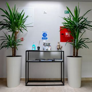 Apartmanok A Tenger Mellett Tucepi, Makarska - 19548 Tučepi (5)