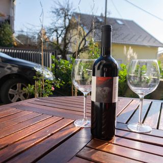 Apartment Maksimir Yard Zagreb (4)