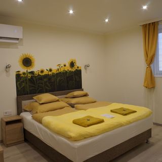 Csengő Vendégház Kiskőrös (5)