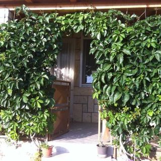 Apartment Andy Komiza (3)