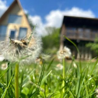 Cabana Samira Tășnad (5)