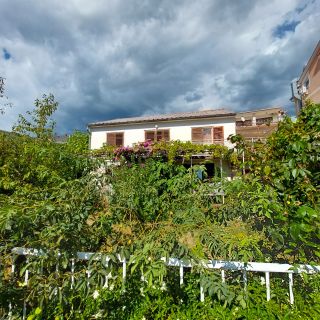 Rooms Anchy Crikvenica (5)