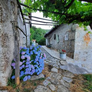 House Mikleus Lovran (4)