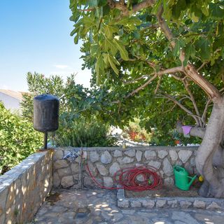 Apartments Clair Pag (5)