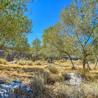 House Volak Nevidane (5)