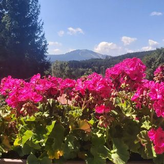 Penzion Diana Železná Ruda (4)