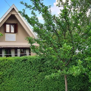 AlMa Vendégház Fertőhomok (3)