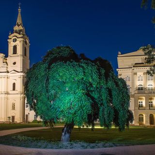 Home Apartman Nagyesztergár (3)