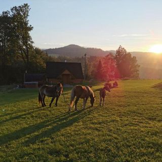 Osadowe Wzgórze Wisła (5)