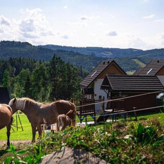 Osadowe Wzgórze Wisła (4)