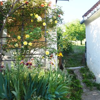 Fehér Bárány Apartman Szigliget (3)