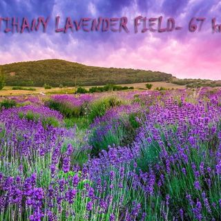 pRezident Ház Rezi (5)