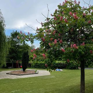 Happy Balaton Apartman 2 Tihany (3)