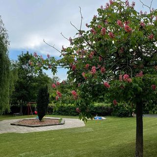 Happy Balaton Apartman 2 Tihany (3)