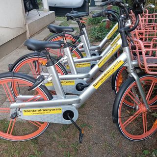 Szentandrás Nyaraló Békésszentandrás (5)