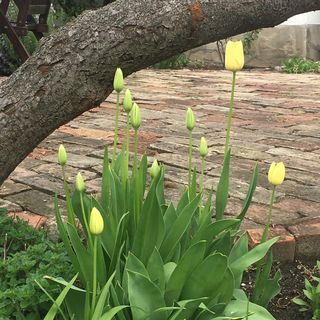 Szinyei Vendégház Siófok (2)