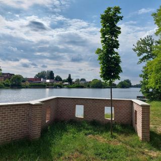 Várkert Vendégház Szarvas (4)