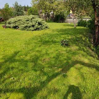 Jasmine Vendégház Szilvásvárad (4)