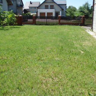 Dom u Zenona Kiernozia (5)