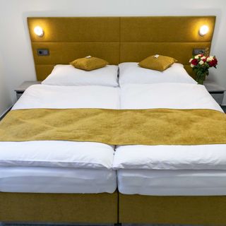 WELLNESS HOTEL EDELWEISS Liberec (4)